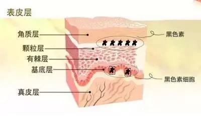 护肤成分合集你懂吗,必须要知道的护肤成分避免踩坑