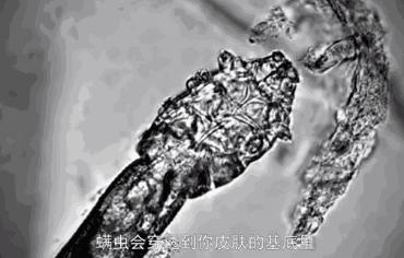 “康王之父”83岁再创业!与时间赛跑的周家礽,还在路上...