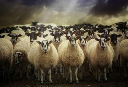 中央给力！教育股团灭背后，我看到了国家的希望