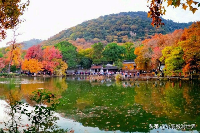 苏州11月份旅游攻略必去景点,七月苏州旅游必去十大景点有哪些