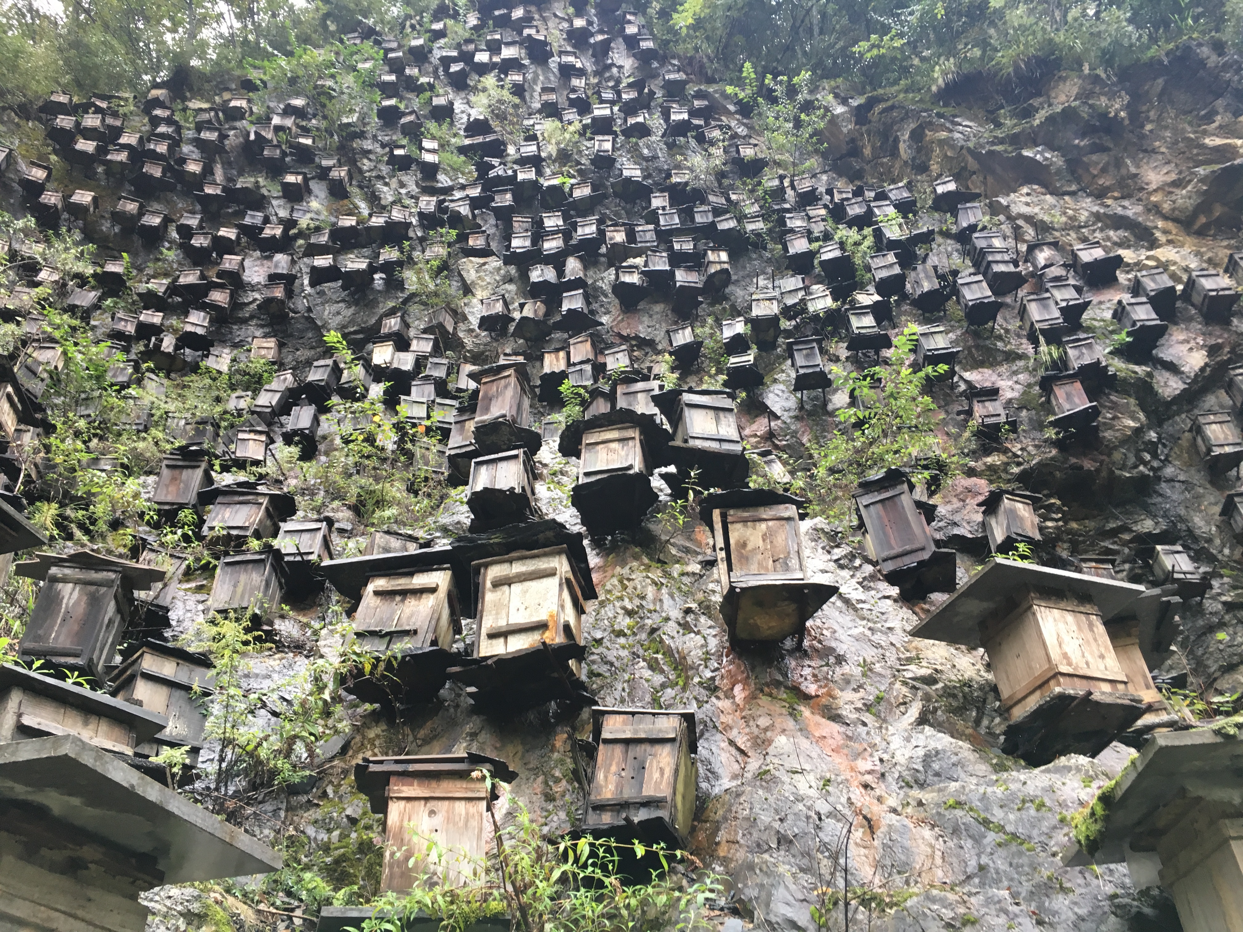 雨中神农架探秘之旅｜国庆节武汉至神农架自驾游攻略分享