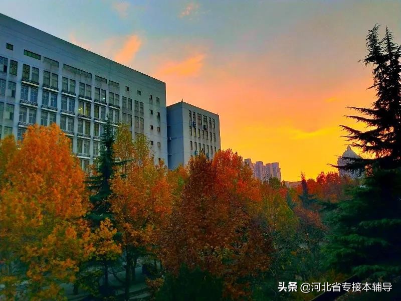 河北专接本医科专业,河北专接本院校相关专业