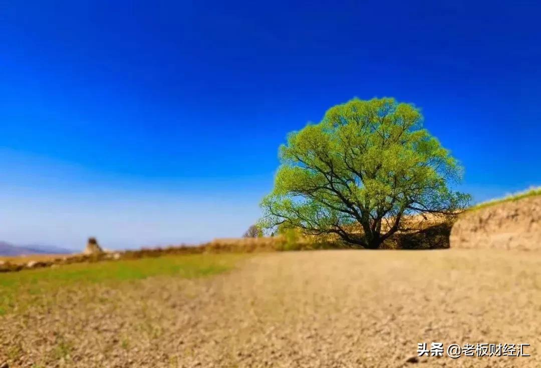 中国县城社会现状,中国县城发展情况