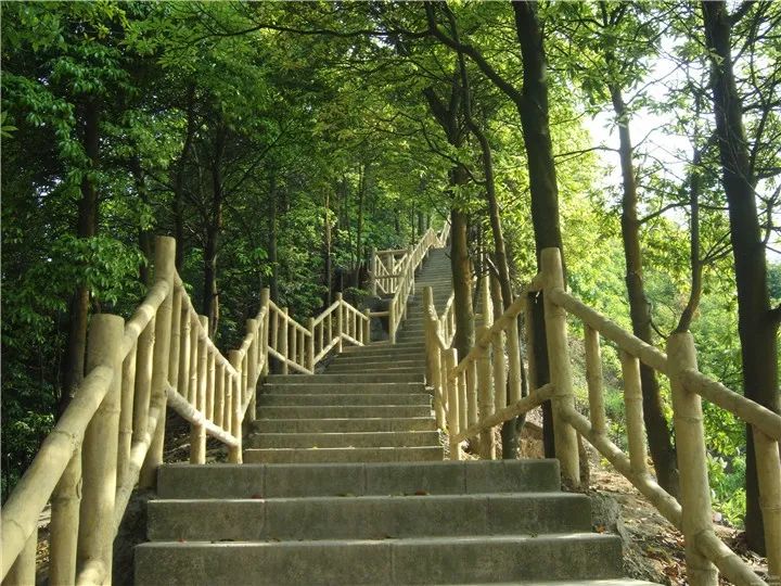 深圳疫情旅游景点什么时候开放,深圳旅游景点开放最新情况