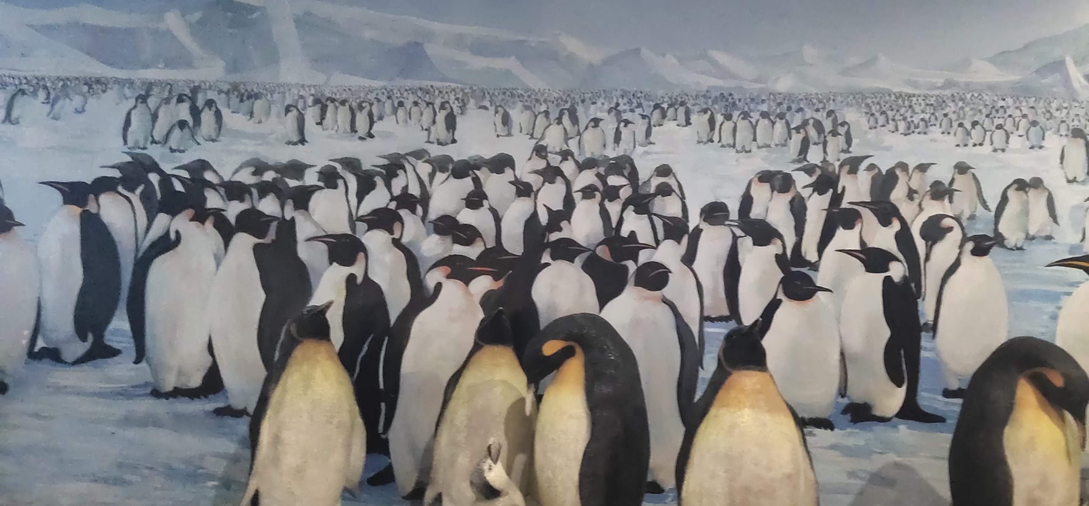 西安曲江海洋极地公园和海洋馆,游西安曲江海洋极地公园