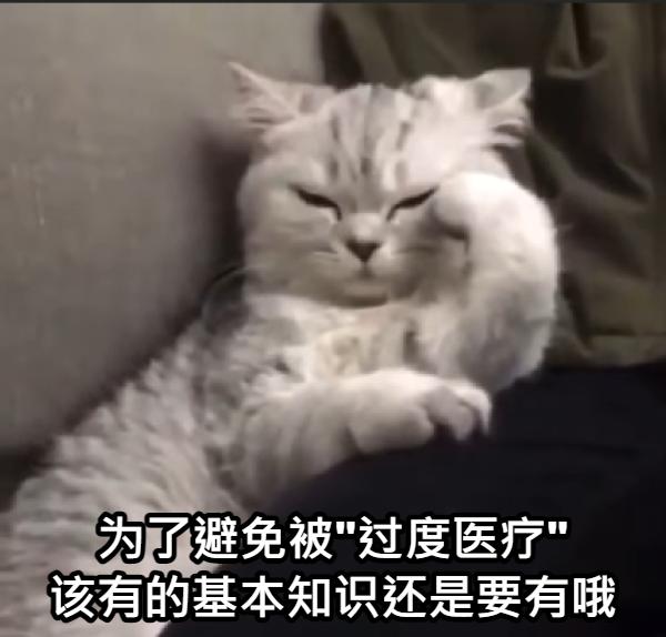 姚晨孩子片段,姚晨晒孩子视频全集