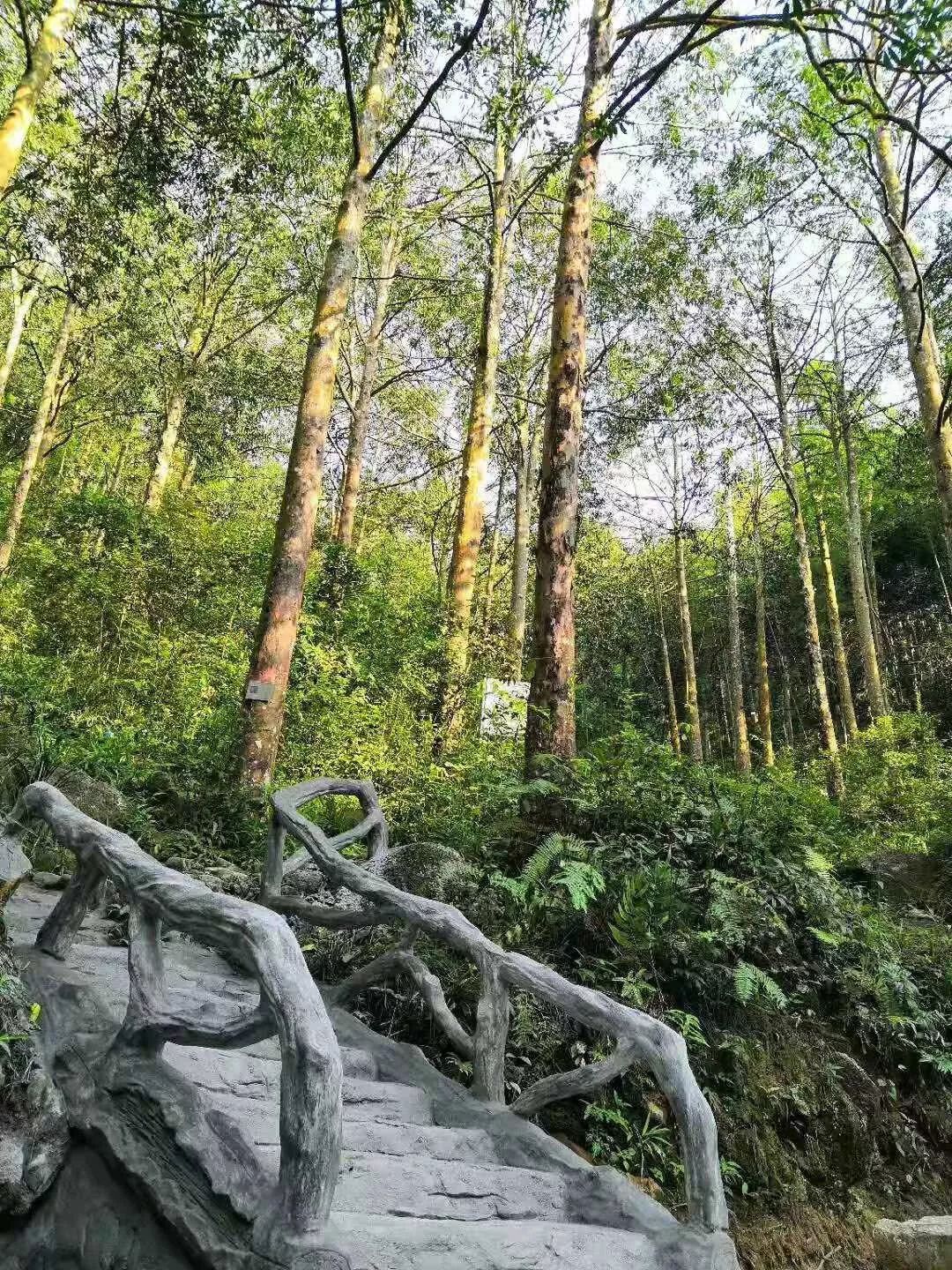 森呼吸运动乐园乘车路线,森呼吸好玩吗