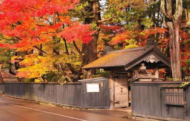 塑料母女深度解锁日本东北秋田县山形县