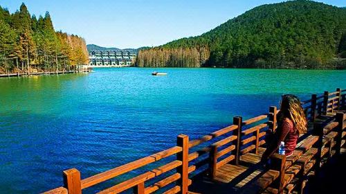 宜春4a景点,宜春免费旅游景区排名前十