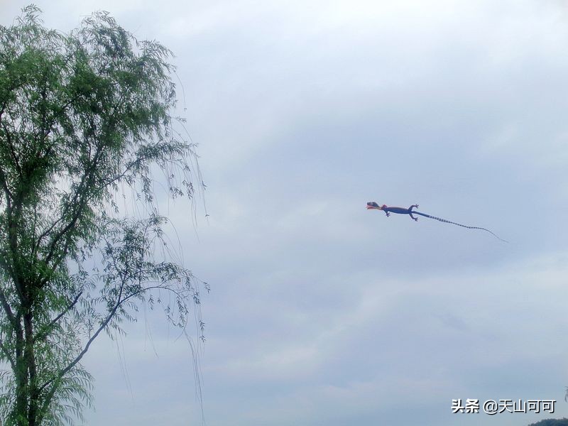 西湖一日游西湖景色到底有多美,再说一遍西湖之美