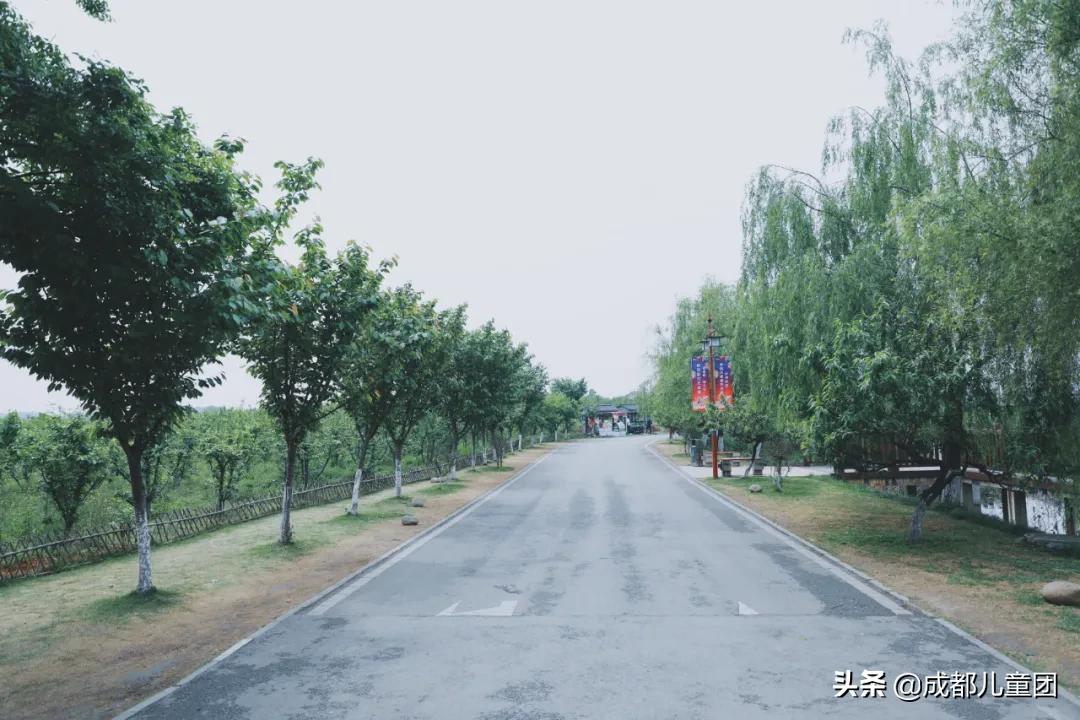 双流空港体育公园看飞机攻略,周末去空港花田