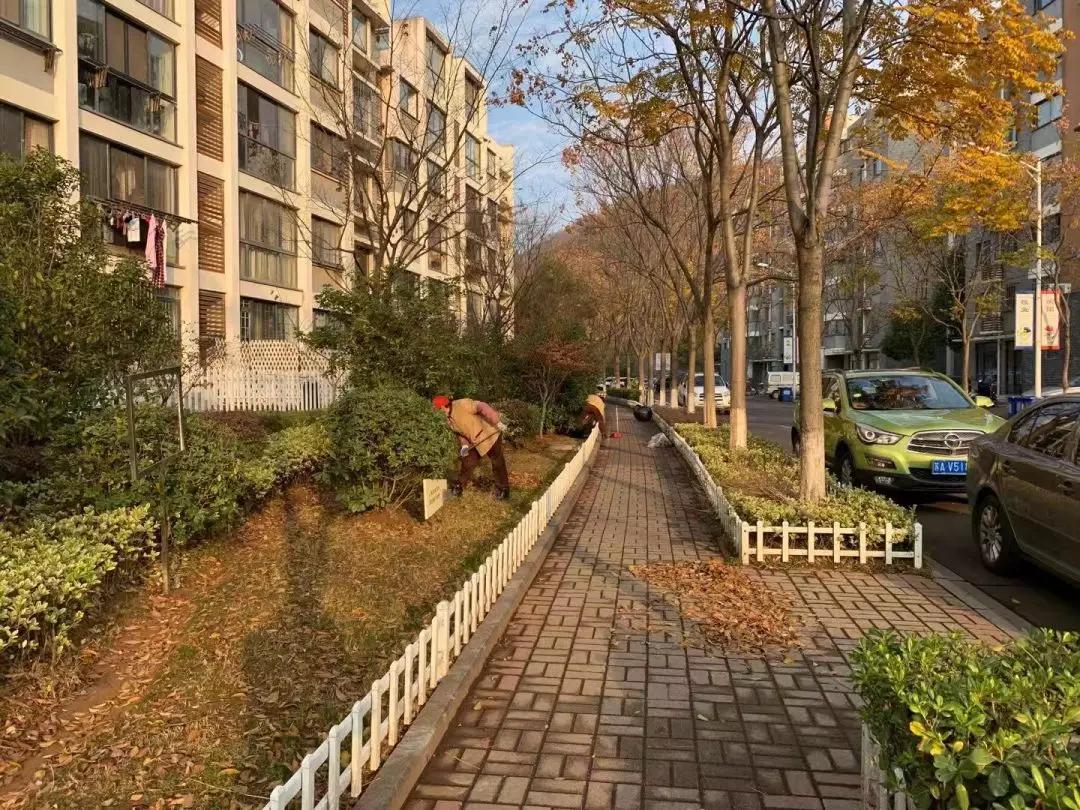 仙林中心房价稳中有升,仙林为什么房价贵