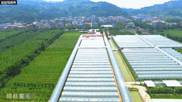 爱上福州的101个理由,爱上福建的理由