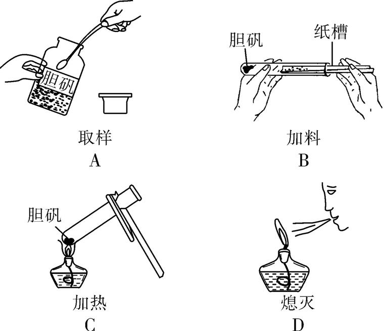 中考化学实验仪器必考知识点,中考化学易错题讲解视频