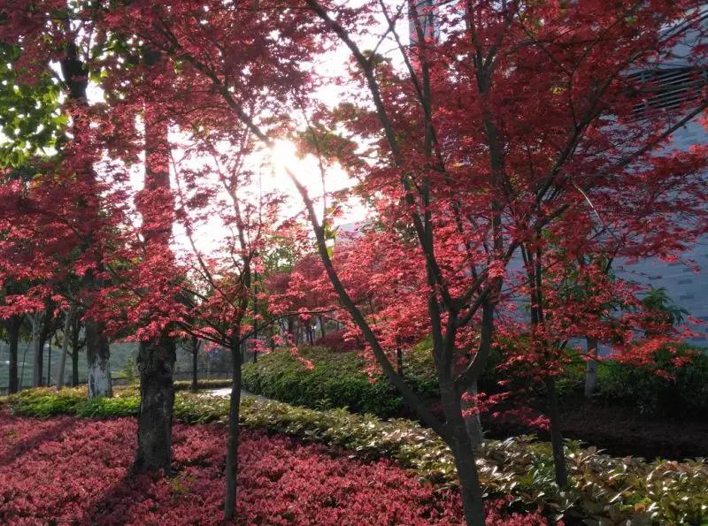 初中报考铁路学校和高中有啥区别,选择铁道学校有什么好处