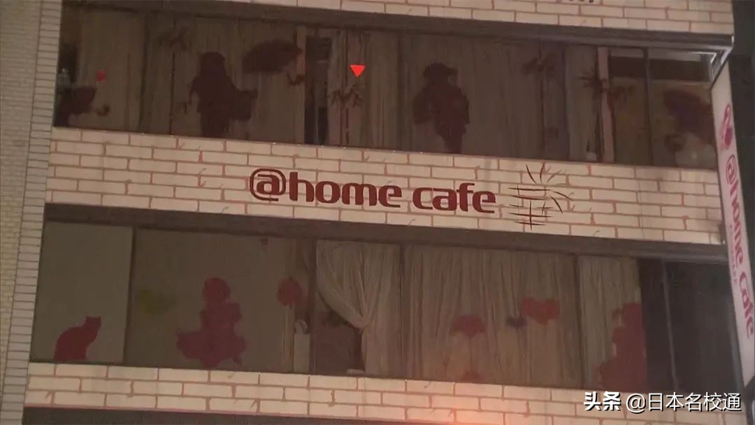 鲨鲨｜秋叶原｜女仆咖啡厅