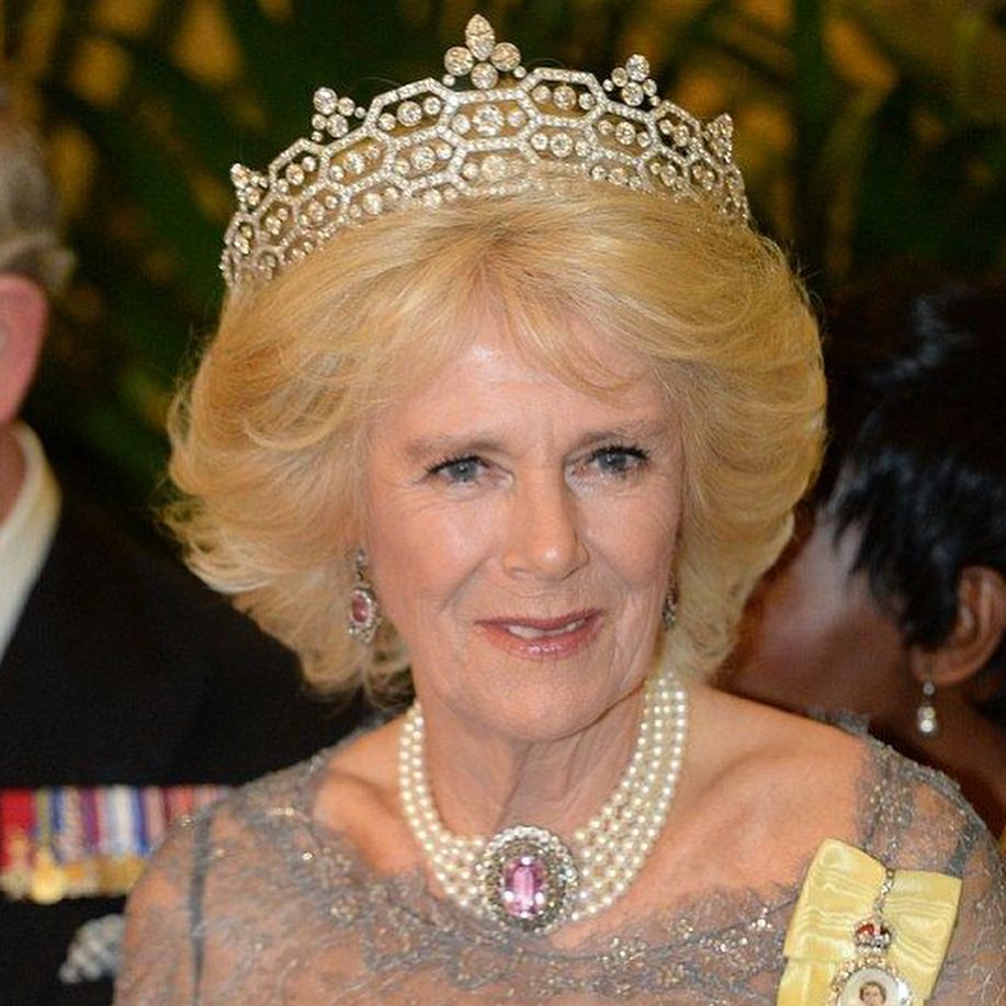 卡米拉继承英国女王珠宝,卡米拉戴过珠宝首饰
