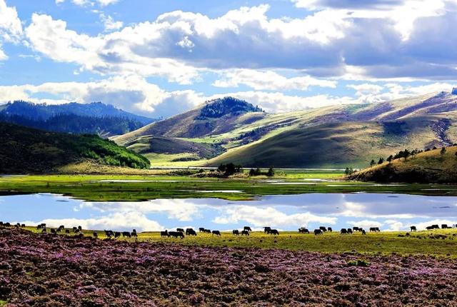 为什么生病要吃药才能治好,有些病不能完全治愈吃药总能缓解