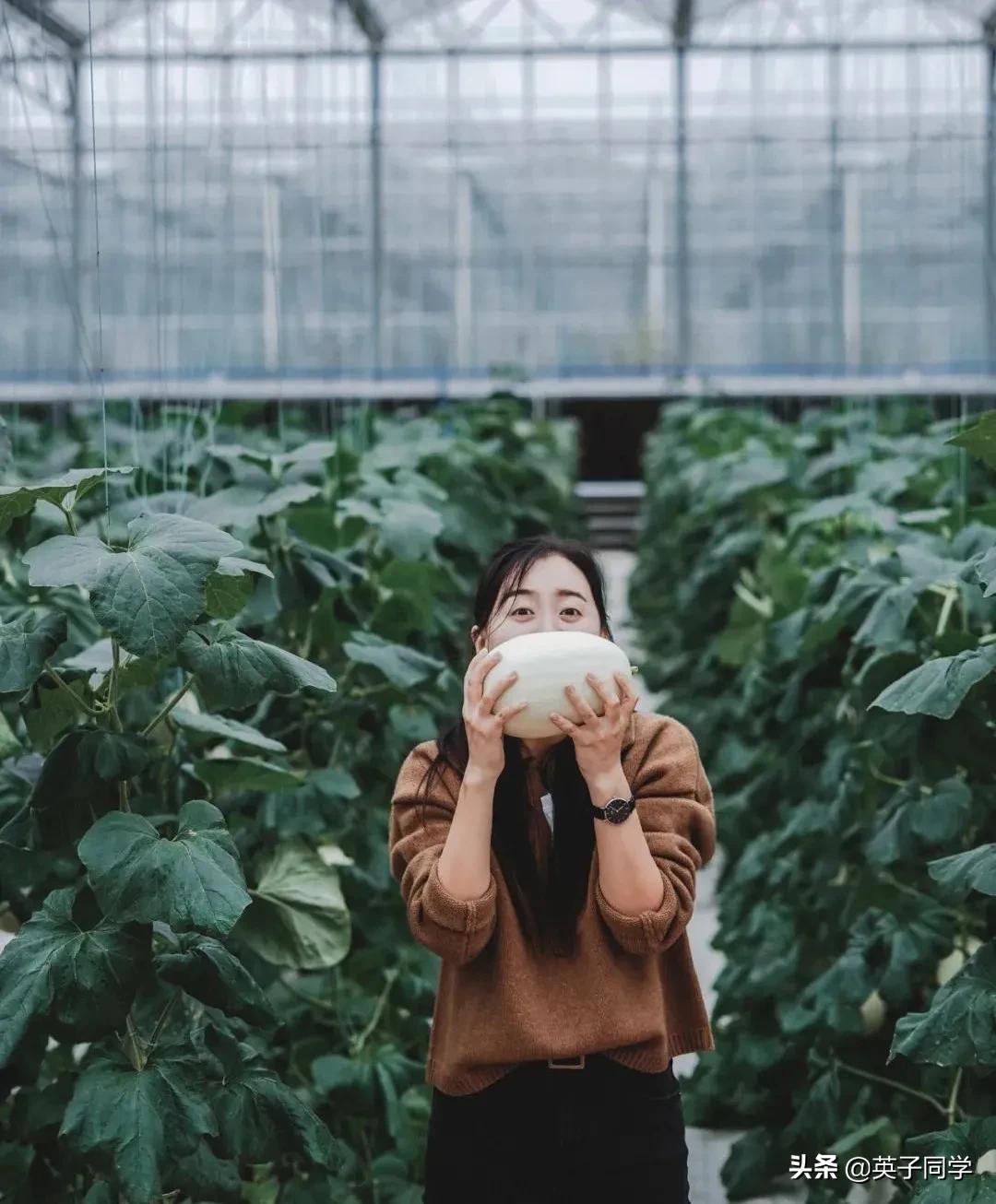 南昌生态谷智慧农场采摘,南昌亲子采摘踏青