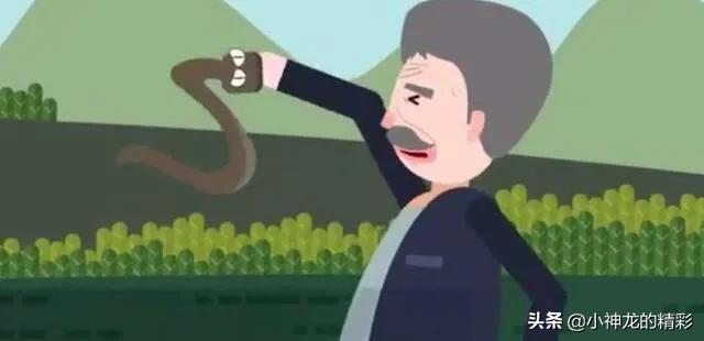 被五步蛇咬了真的不能走五步吗,为什么被五步蛇咬到只能走五步