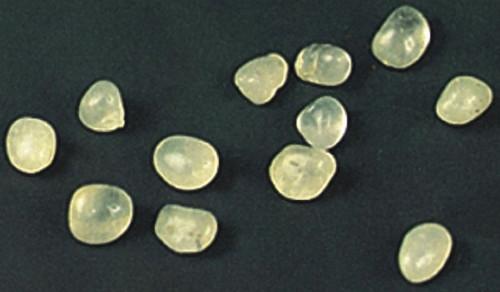 舍利子咋样形成的,舍利子是怎么形成的知乎