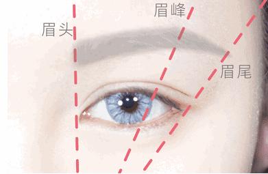 景甜眉毛属于什么眉形,景甜粗眉跟细眉的区别