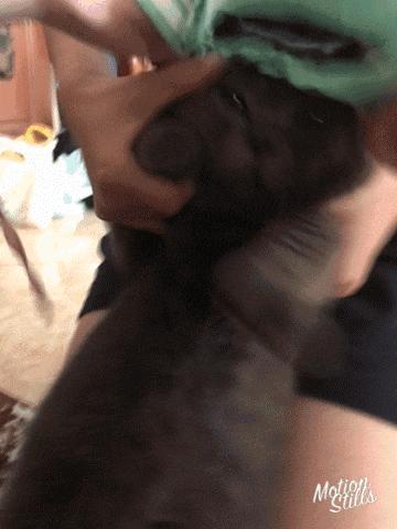 秋冬棕绿色,厌倦了红黄棕不妨来款高级感发色