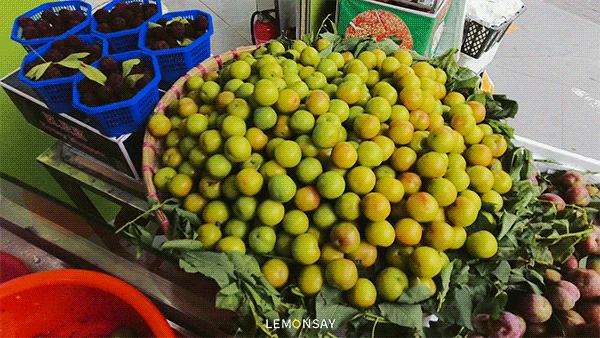 沙井的蚝,沙井为什么这么多蚝