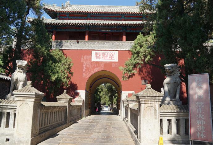 孔林是最大的氏族墓地吗,孔林各个时代的墓葬