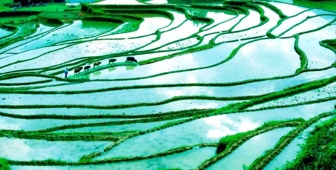 想去一个星空最美的地方露营,最美星空露营地