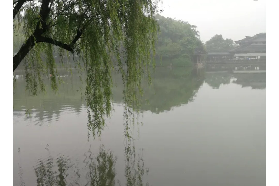 我的房车旅行笔记,我的房车日记第三季视频