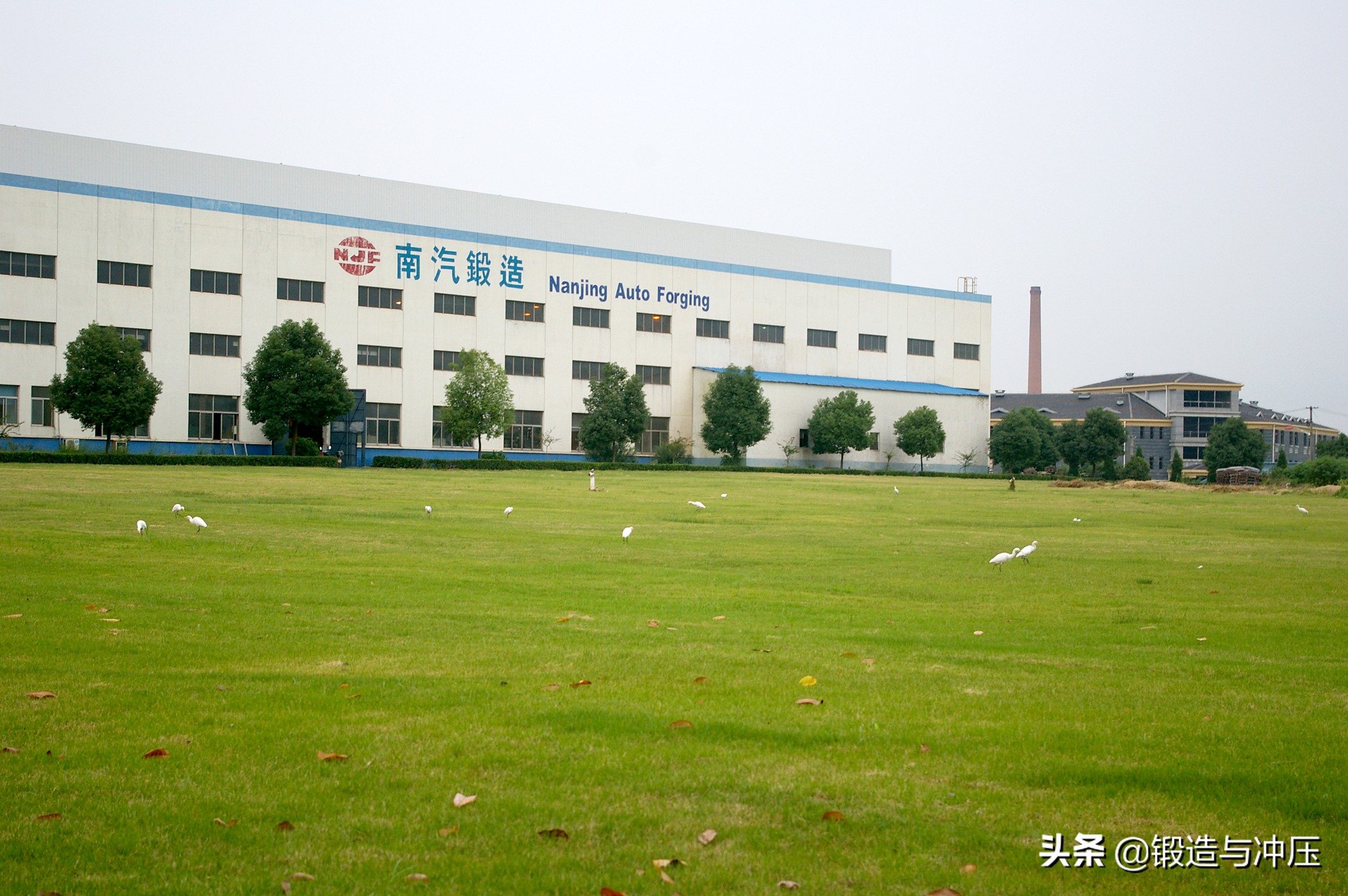 南汽锻造十周年庆,南汽锻造10年庆