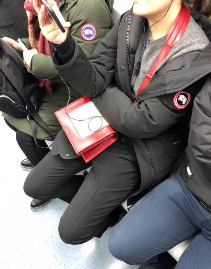 攒钱买波司登 (买大鹅还是买波司登)