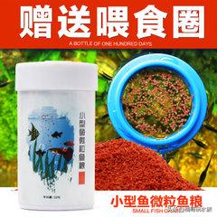 热带观赏鱼怎么养,最好养热带观赏鱼种类大全