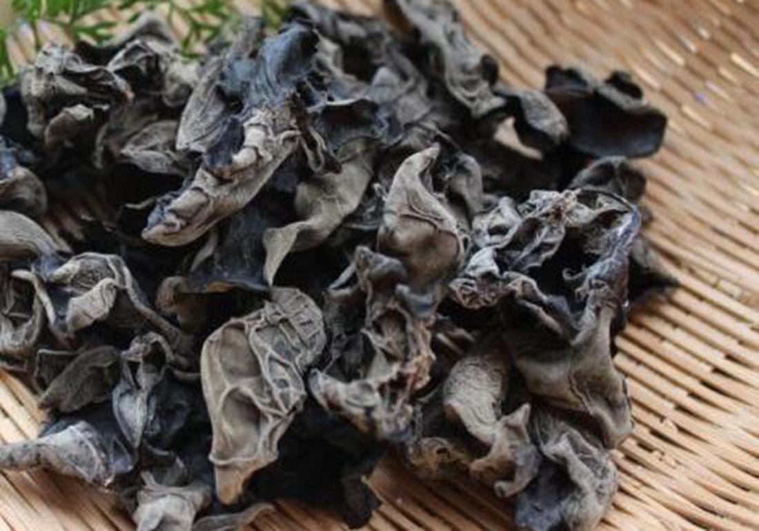 黑木耳露地栽培菌袋培养图片,黑木耳菌袋制作