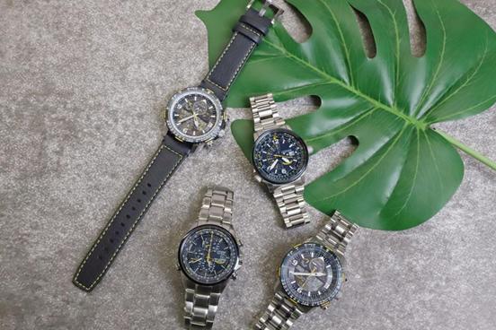 经典西铁城光能电波表推荐,西铁城光动能电波表哪种最好