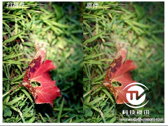 爱普生es-50扫描仪,爱普生扫描仪深度评测