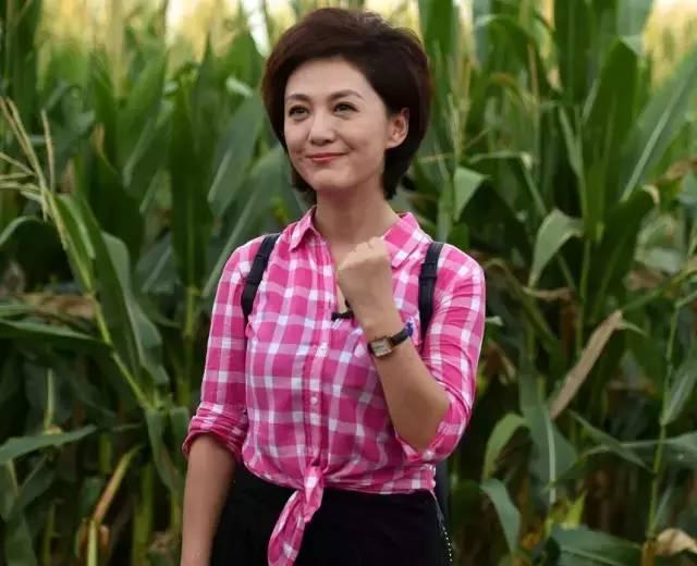 海霞主持人谈家乡,海霞主持人回老家现场