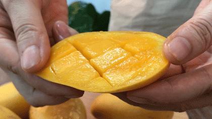 小台芒香甜滑嫩甜而不腻,台芒香甜多汁2.5斤