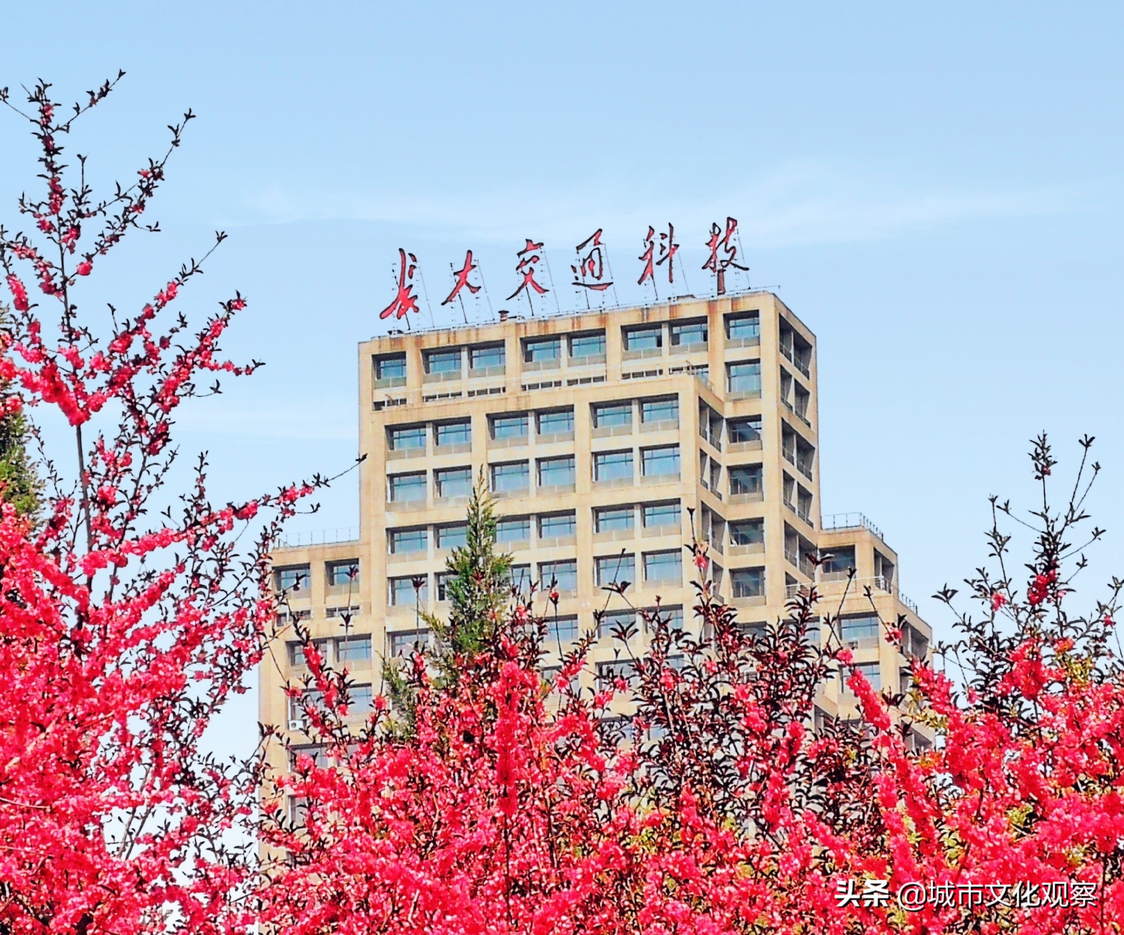 长安大学为啥被称为民办211,长安大学是什么级别的211