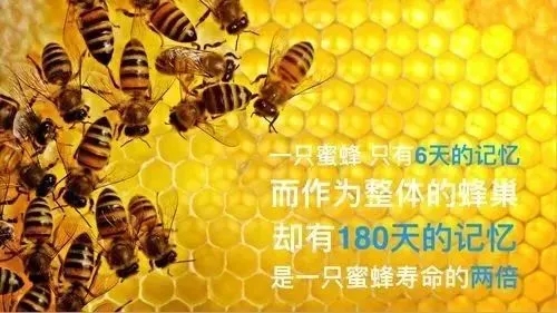 姹介厤骞冲彴铻嶈祫,姹介厤甯傚満铻嶈祫鐜扮姸