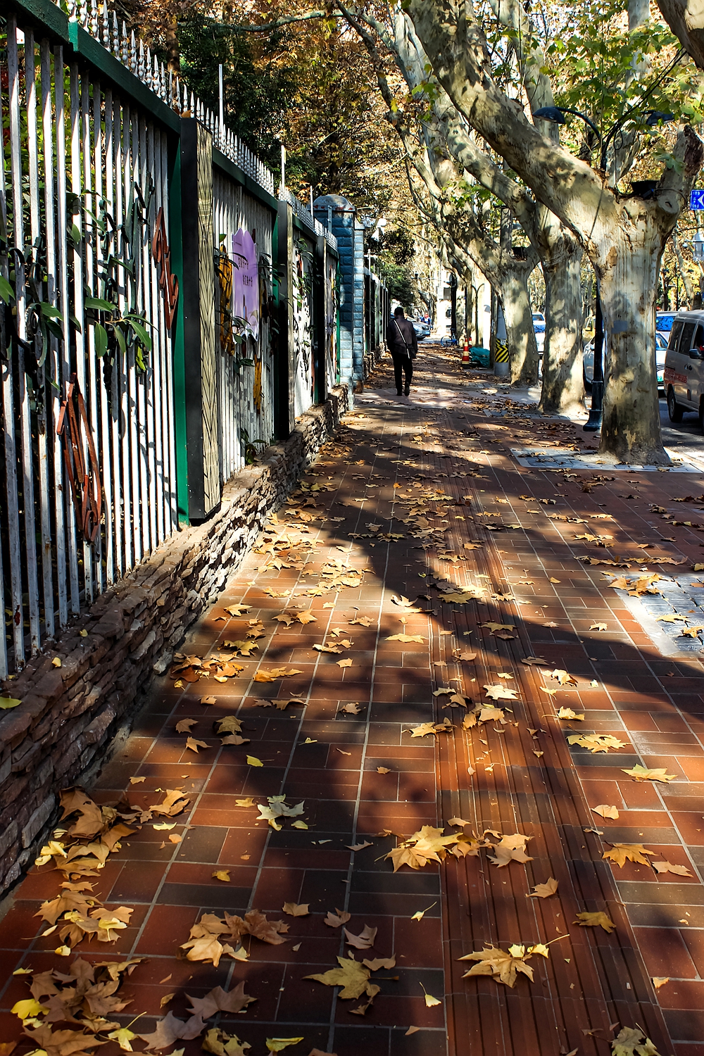上海法租界一日游,上海旧法租界旅游攻略