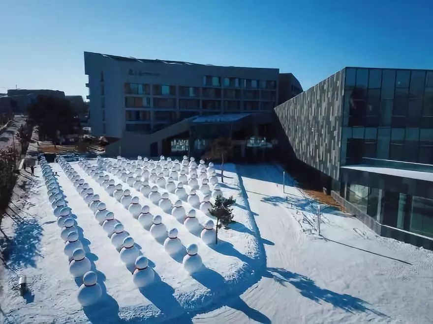 公园回应大妈路边卖雪,大妈卖雪5元一盆