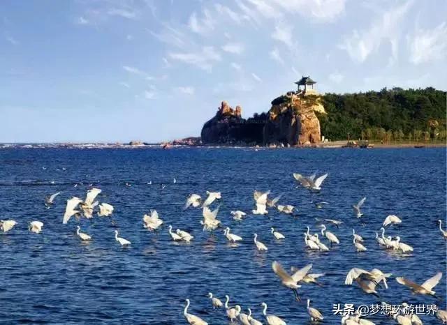 河北观鸟胜地,河北适合清静散心的旅游景点