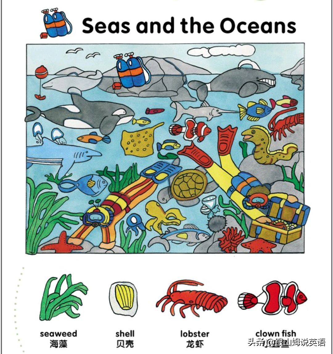 90幅图速记1000个初中英语单词,90幅图轻松记1000个单词