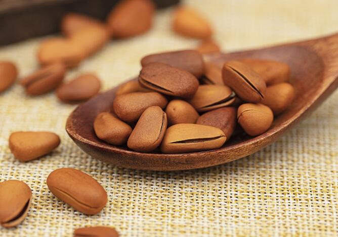 开口松子,东北开口松子