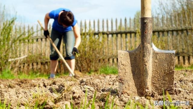 干活往手上吐口水,干活时往手上吐口水是什么效应