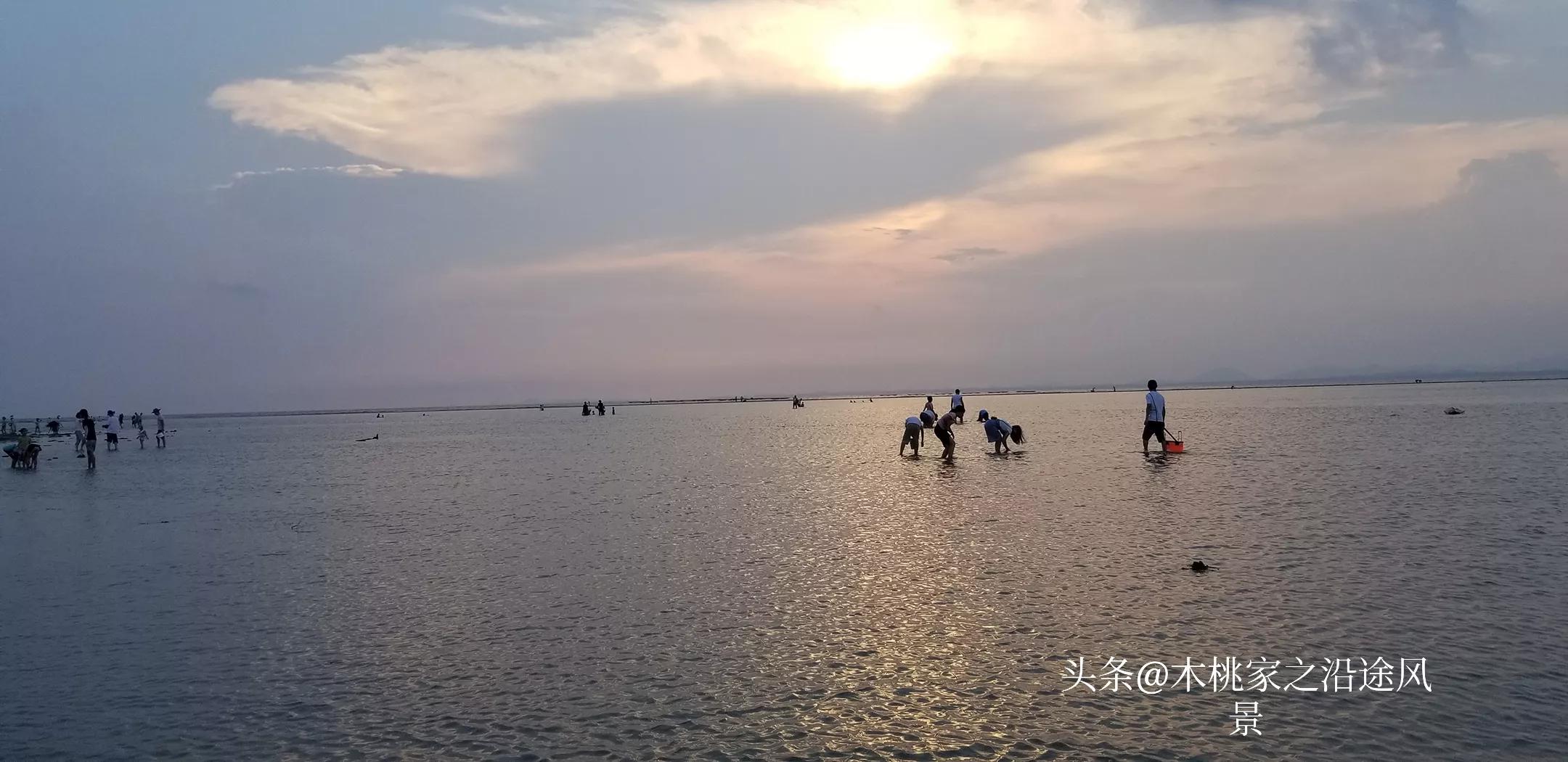 东平赶海沙滩,东平赶海最佳地方