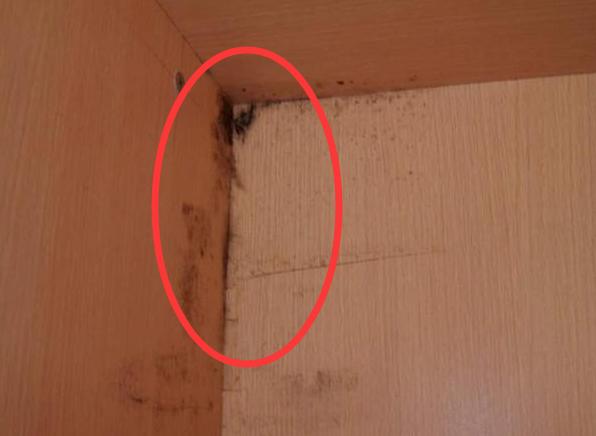 柜子发霉怎么办才能去除霉斑,柜子发霉如何处理