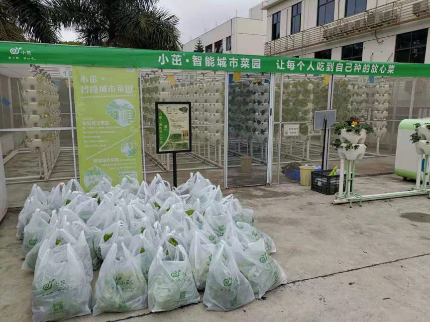 草木皆兵，疫情之下的农场主们